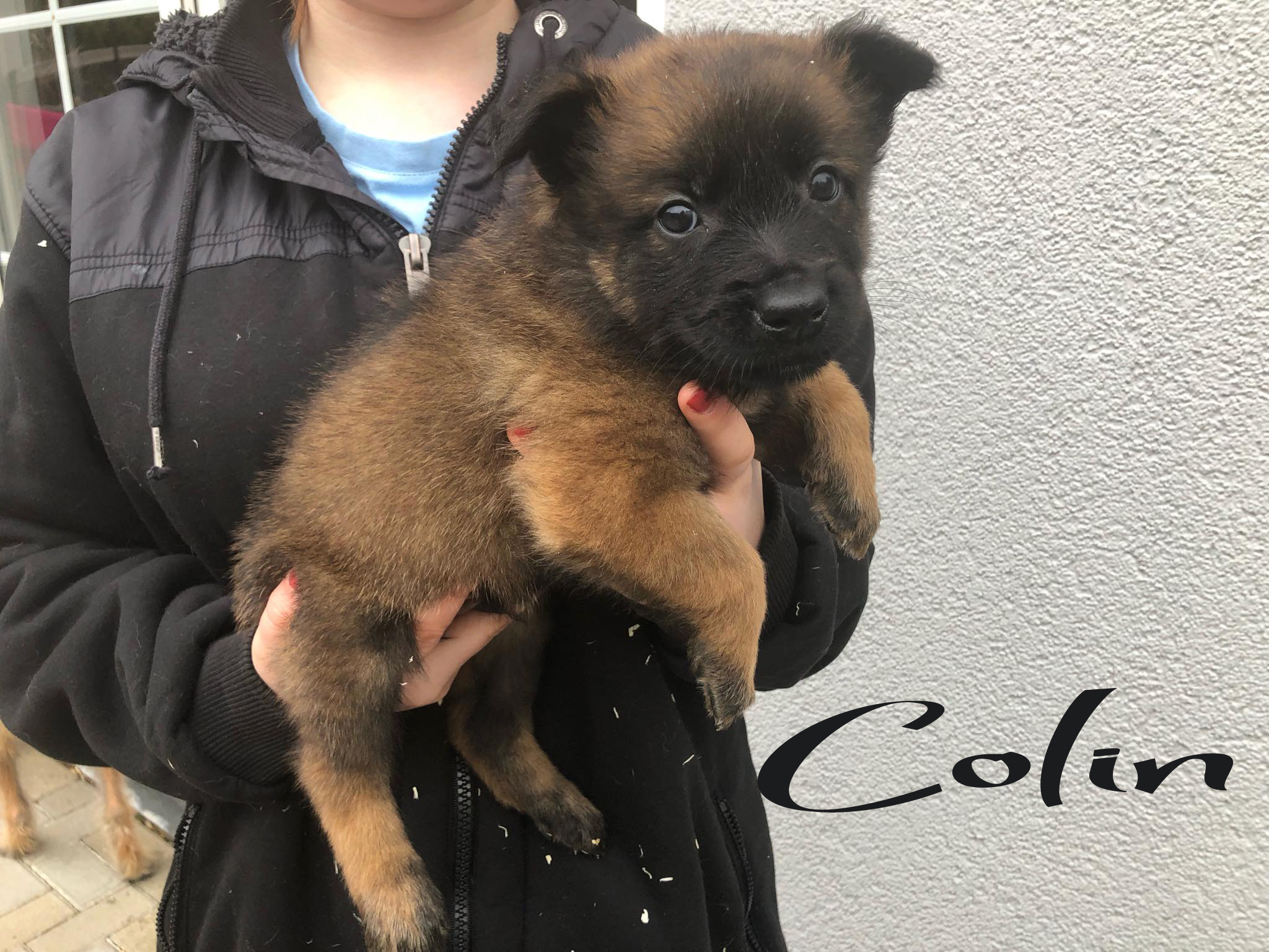 Colin ist vergeben